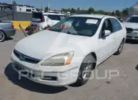 2007 Honda Accord photo