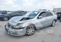 2007 Honda Accord photo