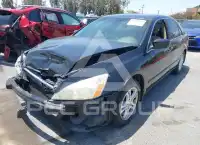 2007 Honda Accord photo
