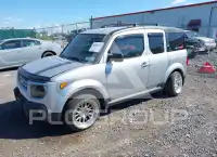 2007 Honda ELEMENT photo