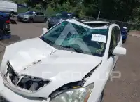 2007 Lexus RX350 photo
