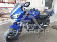 2007 Yamaha FZ6 photo