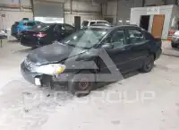 2007 Toyota COROLLA фото