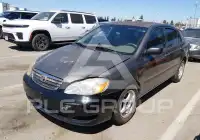 2007 Toyota COROLLA фото