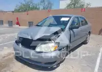 2007 Toyota COROLLA photo