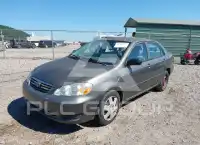 2007 Toyota COROLLA photo