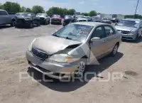 2007 Toyota COROLLA фото