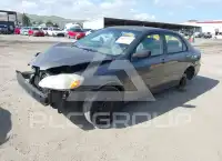 2007 Toyota COROLLA фото