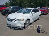 2007 Toyota CAMRY фото