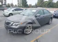 2007 Toyota CAMRY фото