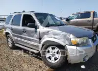 2007 Ford ESCAPE photo