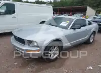 2007 Ford MUSTANG фото