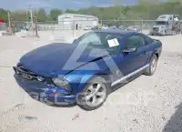 2007 Ford MUSTANG фото
