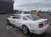 2007 Ford MUSTANG photo