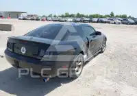 2007 Ford MUSTANG фото