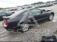2007 Ford MUSTANG photo