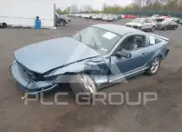 2007 Ford MUSTANG photo