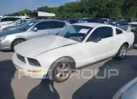 2007 Ford MUSTANG фото