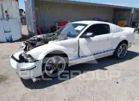 2007 Ford MUSTANG фото