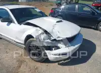 2007 Ford MUSTANG photo