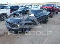 2007 Ford MUSTANG фото