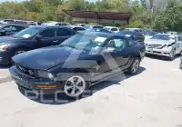 2007 Ford MUSTANG photo