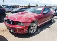 2007 Ford MUSTANG фото