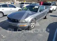 2007 Ford MUSTANG photo