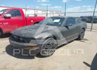 2007 Ford MUSTANG photo