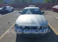 2007 Ford MUSTANG фото
