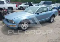 2007 Ford MUSTANG фото