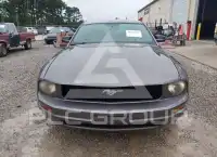 2007 Ford MUSTANG фото