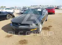 2007 Ford MUSTANG фото