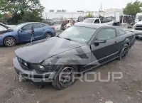 2007 Ford MUSTANG photo