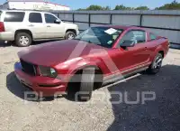 2007 Ford MUSTANG фото