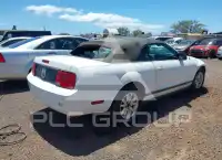 2007 Ford MUSTANG фото
