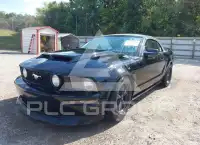 2007 Ford MUSTANG photo