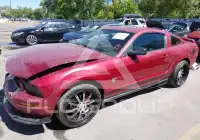 2007 Ford MUSTANG фото