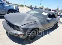 2007 Ford MUSTANG фото