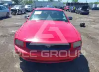 2007 Ford MUSTANG фото
