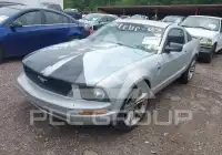 2007 Ford MUSTANG photo