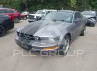 2007 Ford MUSTANG photo