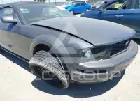 2007 Ford MUSTANG фото