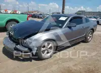 2007 Ford MUSTANG photo