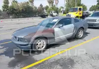 2007 Ford MUSTANG фото