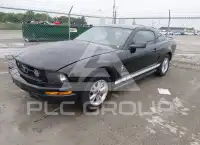 2007 Ford MUSTANG photo
