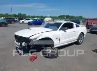 2007 Ford MUSTANG фото