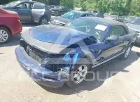 2007 Ford MUSTANG photo