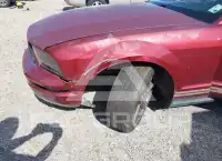 2007 Ford MUSTANG фото