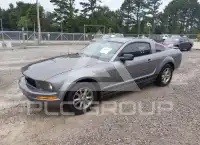 2007 Ford MUSTANG фото